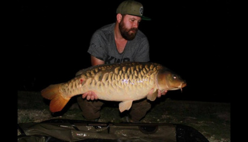 A carp from Brie, Sep 2017