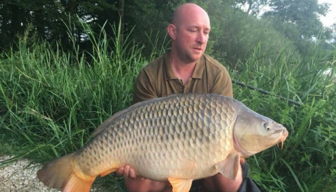 A carp from Brie, Jul 2017