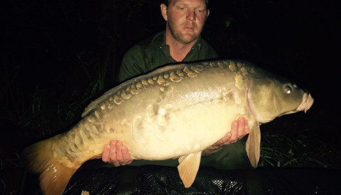 A carp from Brie, Tony Moore, Sep 2017