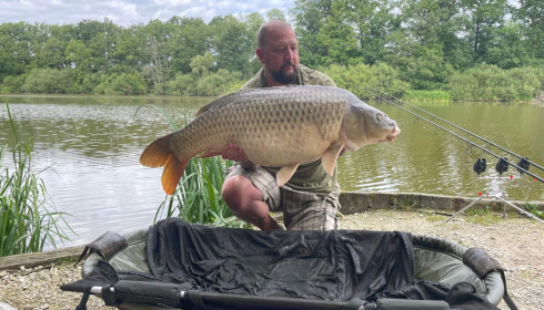 A carp from Brie, Aug 2022