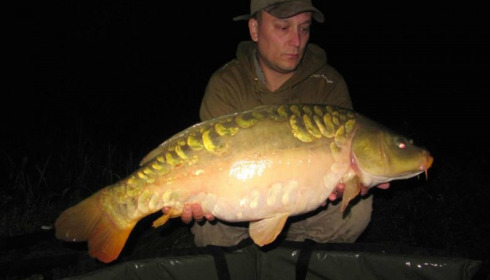 A carp from Brie, Sep 2014