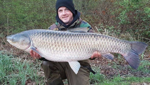 A carp from Brie, Apr 2017