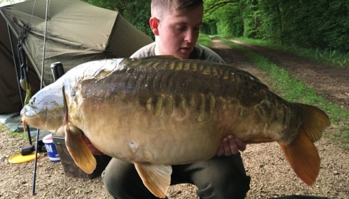 A carp from Brie, David Hammond, May 2017