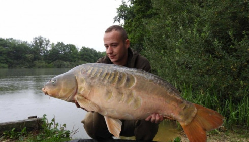 A carp from Brie, Aug 2017