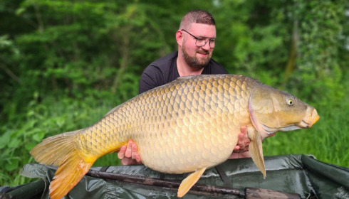 A carp from Brie, Jun 2021
