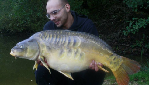 A carp from Brie, Oct 2014