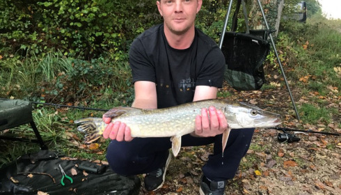 A fish from Brie, Tony Moore, Sep 2017