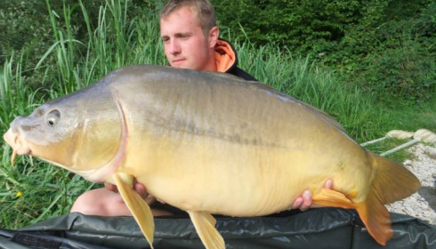 A carp from Brie, Aug 2014
