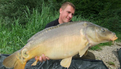 A carp from Brie, Aug 2014