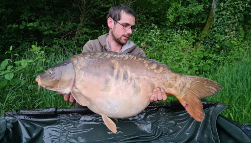 A carp from Brie, Jun 2021