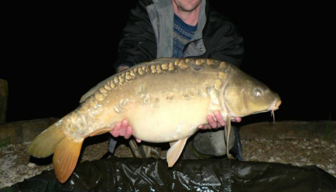 A carp from Brie, Apr 2014