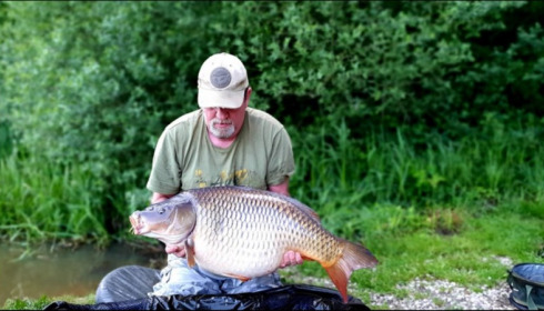 A carp from Brie, Jun 2019