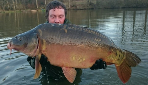 A carp from Brie, Jan 2016