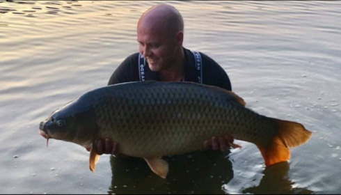 A carp from Brie, Jul 2018