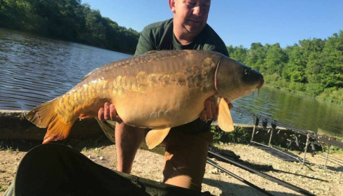A carp from Brie, May 2018