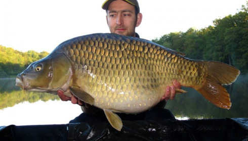 A carp from Brie, Oct 2013