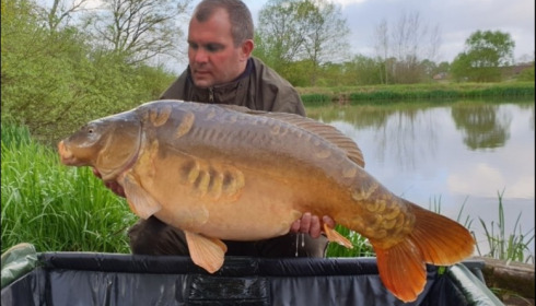 A 52 lb carp from Brie, May 2019