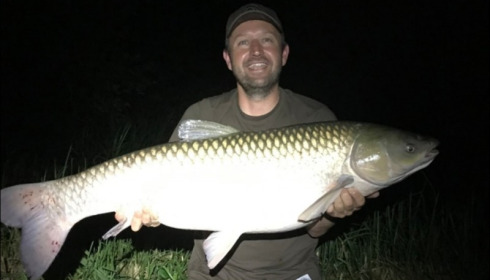 A carp from Brie, Jul 2019