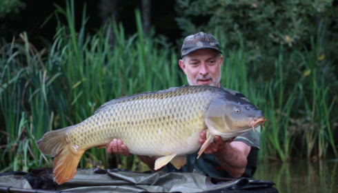 A carp from Brie, Sep 2017