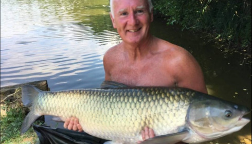 A grass carp from Brie, Jul 2018