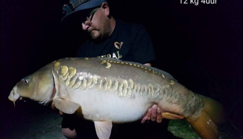 A carp from Brie, Jul 2018