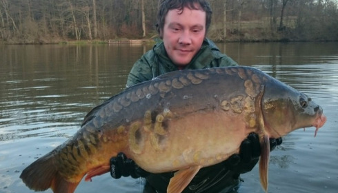 A carp from Brie, Jan 2016