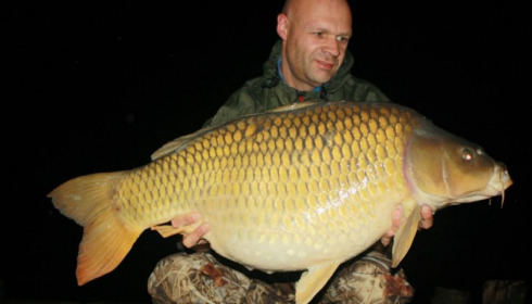 A carp from Brie, Oct 2014