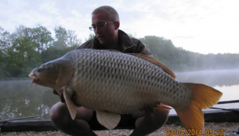 A carp from Brie, Apr 2014