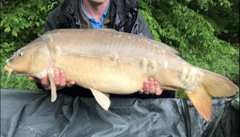 A 32 lb 9 oz carp from Brie, May 2019