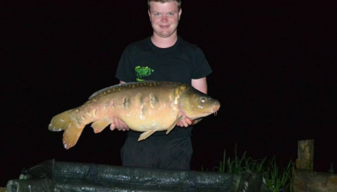 A carp from Brie, Sep 2014