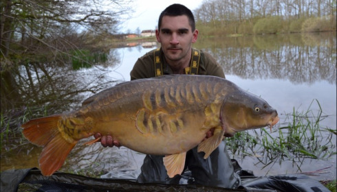 A carp from Brie, Apr 2019