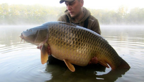 A 49 lb 6 oz carp from Brie, Sep 2014
