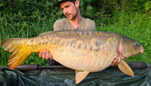 A carp from Brie, Jun 2021