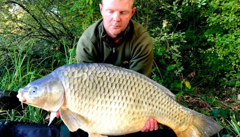 A carp from Brie, Tony Moore, Sep 2017