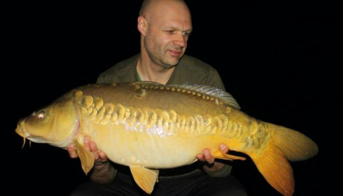 A carp from Brie, Apr 2016