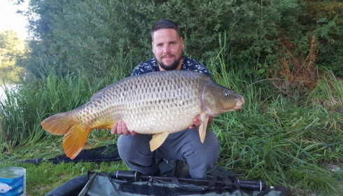 A carp from Brie, Sep 2016