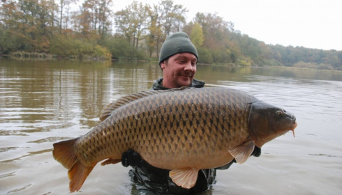 A carp from Brie, Nov 2016
