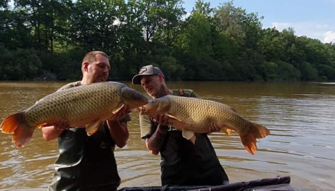 A carp from Brie, Aug 2022