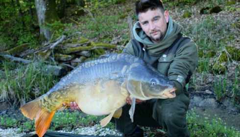 A carp from Brie, Apr 2014