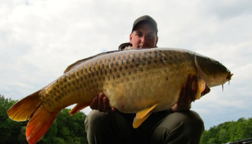 A carp from Brie, May 2014