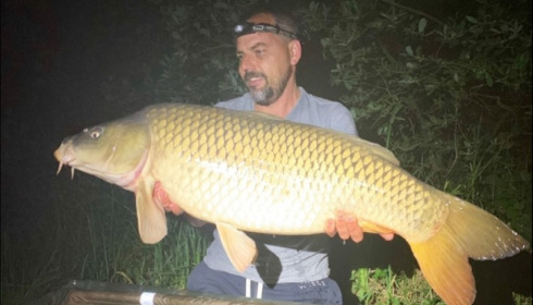 A carp from Brie, Jul 2019