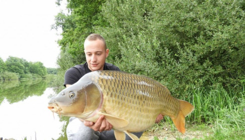 A carp from Brie, Aug 2017