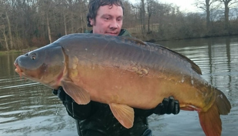 A carp from Brie, Jan 2016