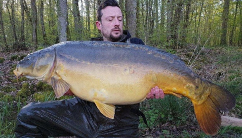 A carp from Brie, Apr 2017