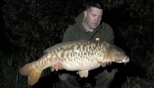 A carp from Brie, Robert Wood, Sep 2018
