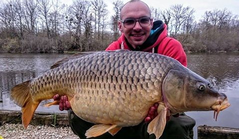 A carp from Brie, Apr 2016