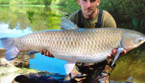 A 47 lb 8 oz grass carp from Brie, Stuart Wilson, Apr 2018