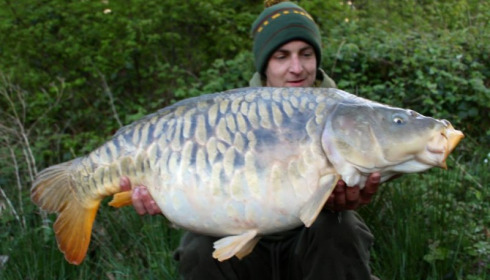 A carp from Brie, Apr 2014