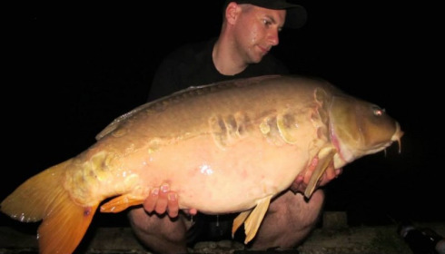 A carp from Brie, May 2014