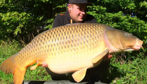 A carp from Brie, Aug 2014
